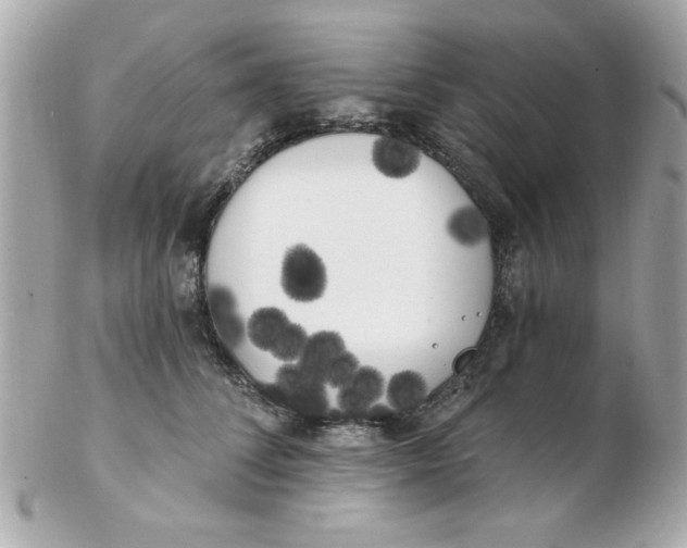 X0000102530708200808291820
