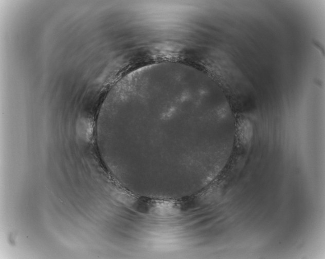 X0000102530709200808291820