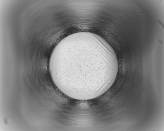 X0000102530710200808291820