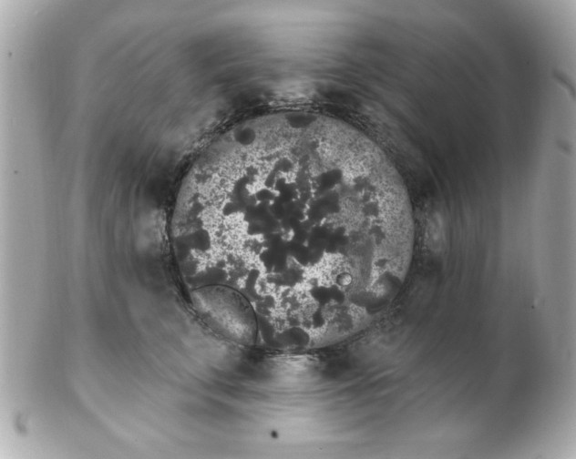 X0000102530711200808291820