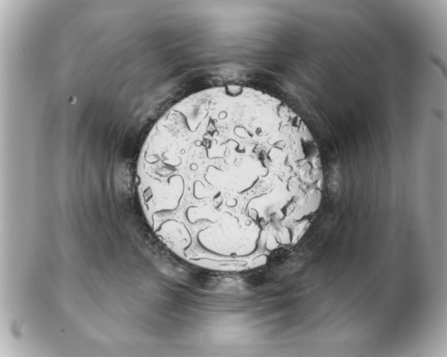 X0000102530715200808291820