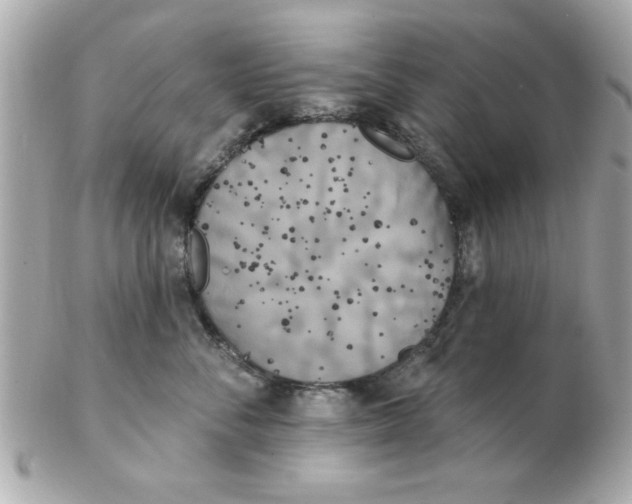 X0000102530716200808291820