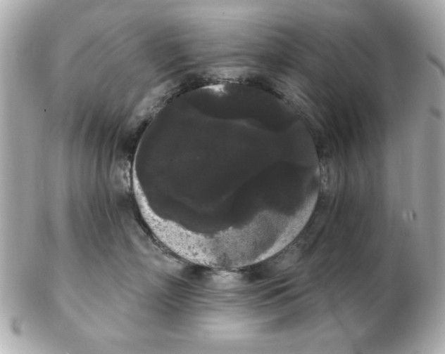 X0000102530718200808291820