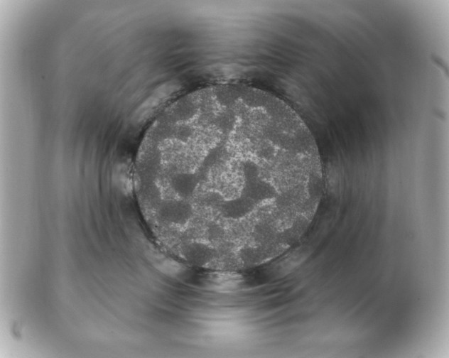 X0000102530719200808291820