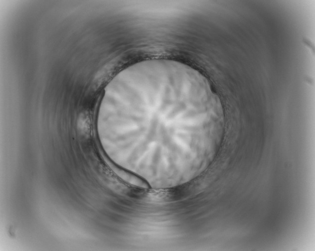 X0000102530720200808291820