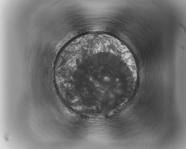 X0000102530721200808291819