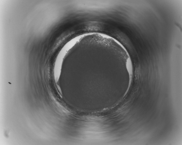 X0000102530722200808291819