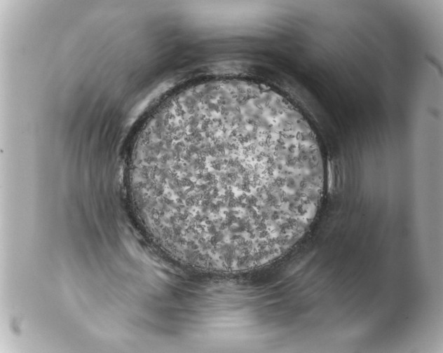 X0000102530723200808291819