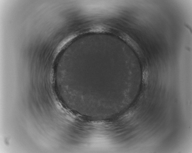 X0000102530724200808291819