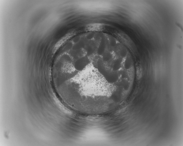 X0000102530725200808291819