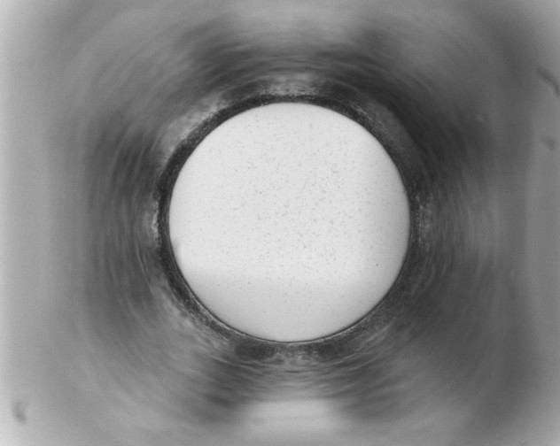 X0000102530727200808291819