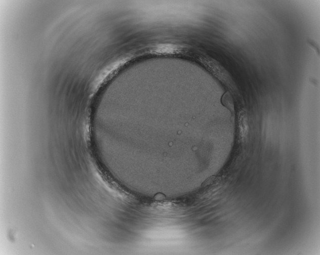 X0000102530728200808291819
