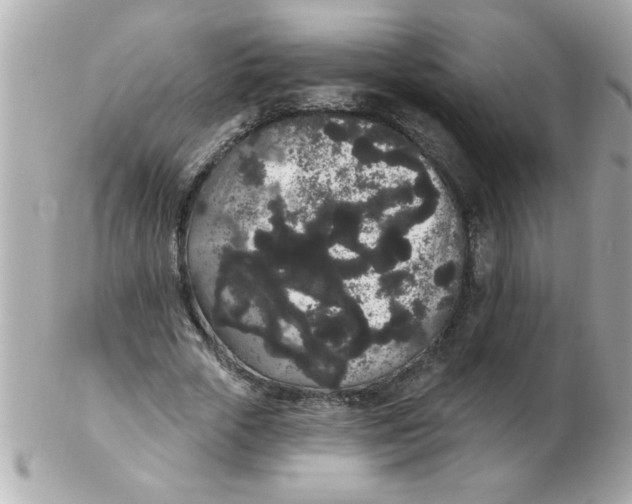 X0000102530729200808291819