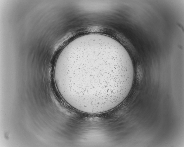X0000102530730200808291819