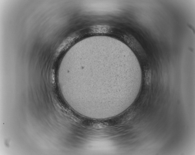 X0000102530731200808291819