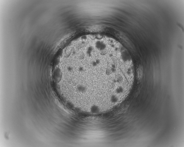 X0000102530733200808291819