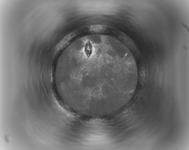 X0000102530734200808291819