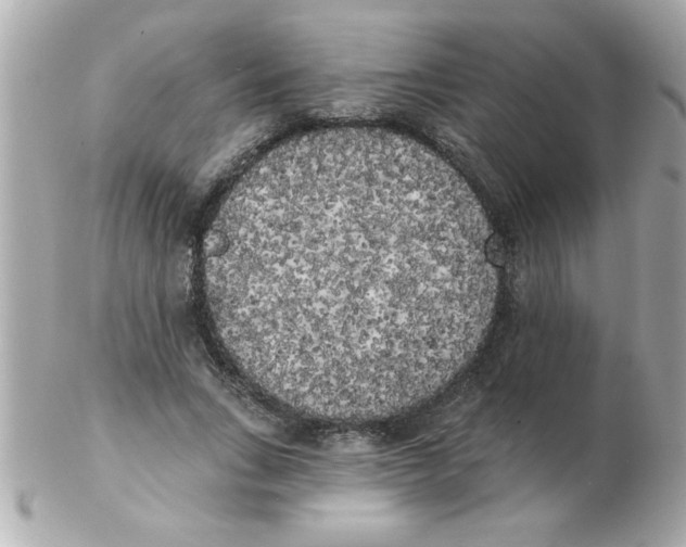 X0000102530735200808291819