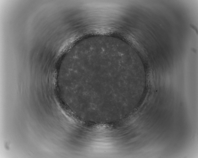 X0000102530736200808291819