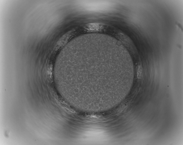 X0000102530737200808291819