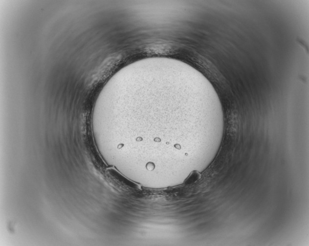 X0000102530738200808291819