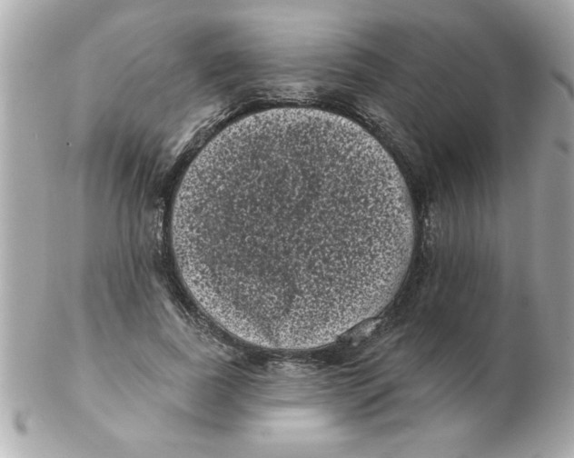 X0000102530739200808291819