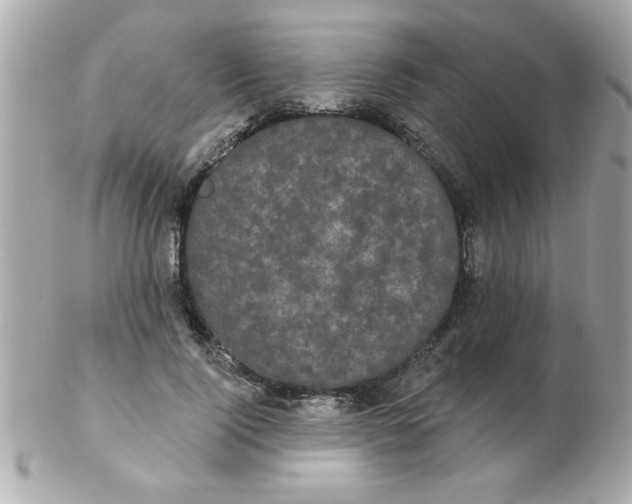 X0000102530740200808291819