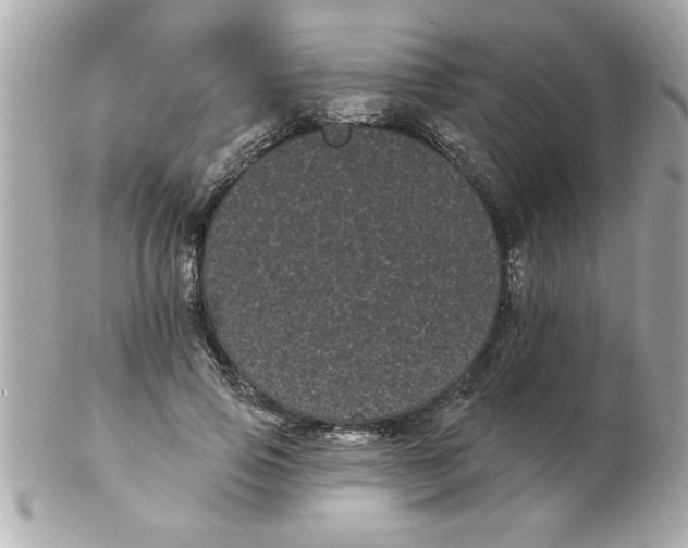 X0000102530741200808291819