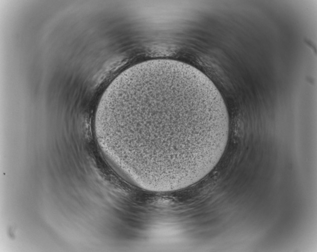 X0000102530743200808291819