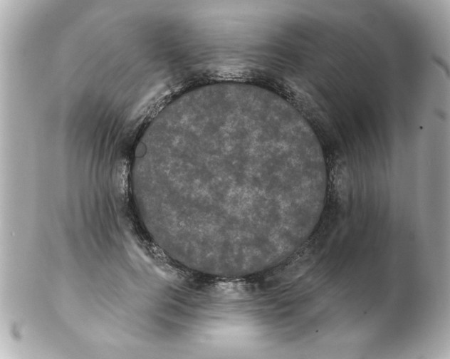 X0000102530744200808291819