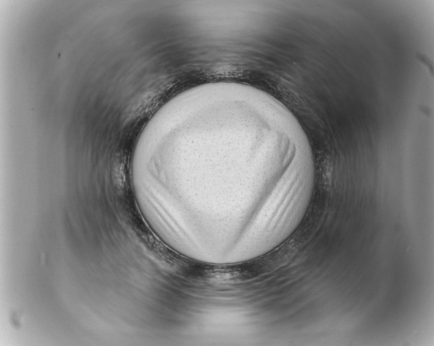 X0000102530746200808291819