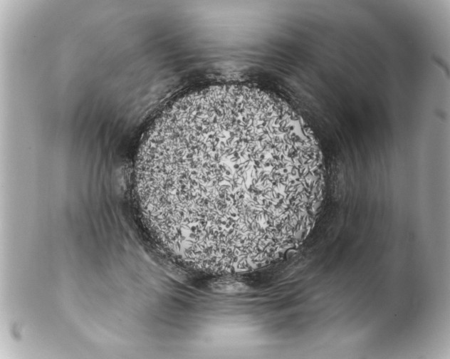 X0000102530747200808291819