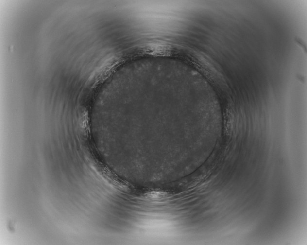 X0000102530748200808291819