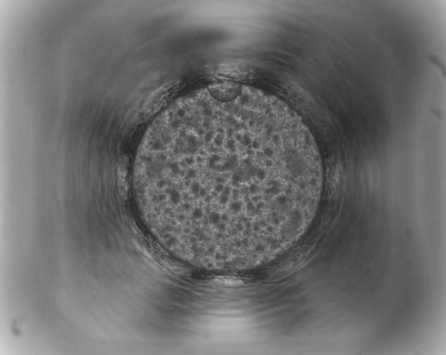 X0000102530749200808291819
