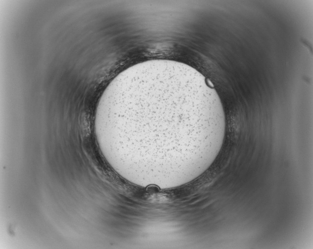X0000102530751200808291819