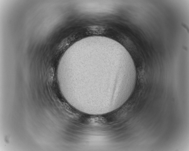 X0000102530752200808291819