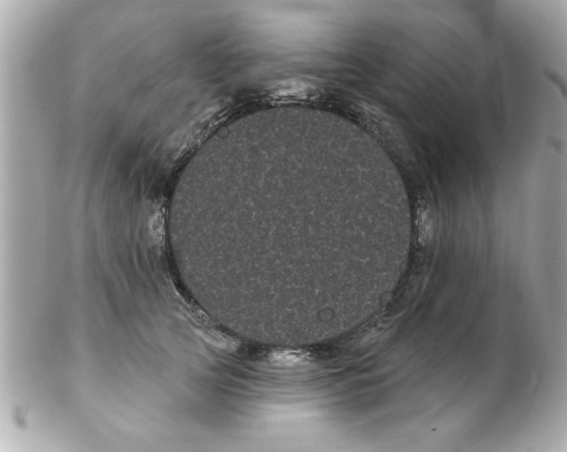 X0000102530753200808291819