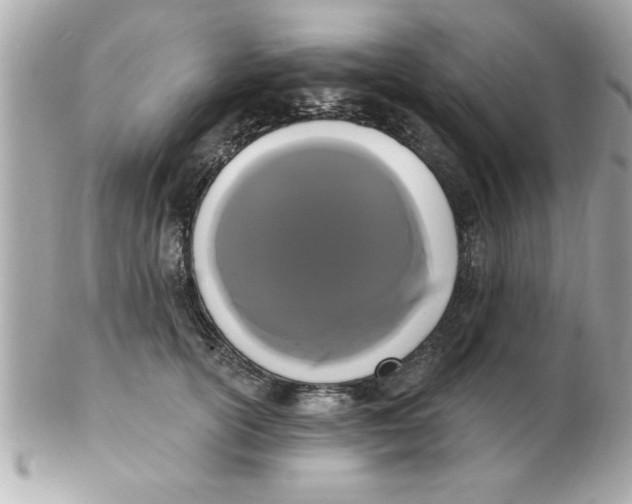 X0000102530754200808291819