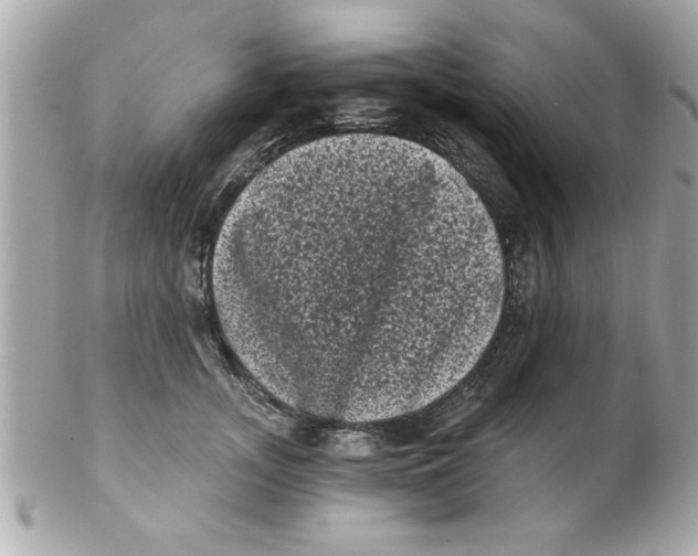 X0000102530755200808291819