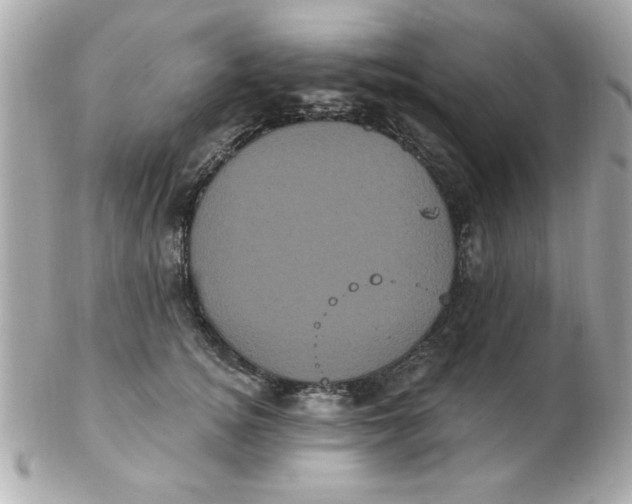 X0000102530756200808291819