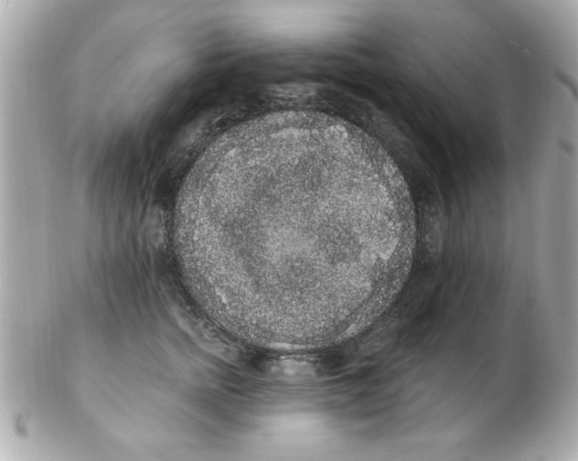 X0000102530758200808291819
