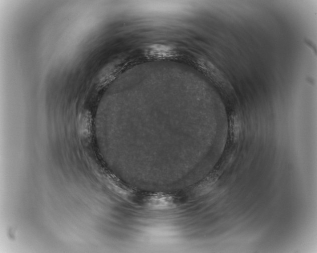 X0000102530760200808291820