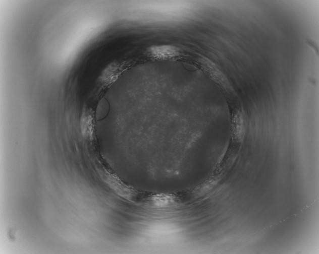 X0000102530762200808291820