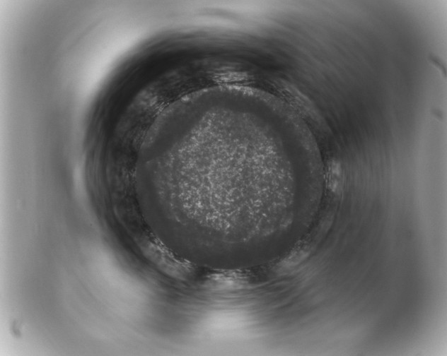 X0000102530763200808291820