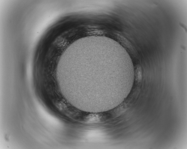 X0000102530764200808291820