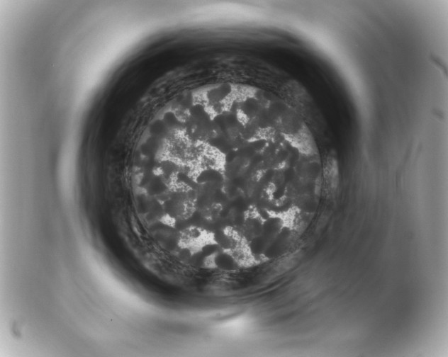 X0000102530765200808291820