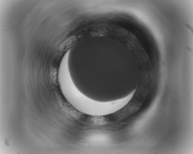 X0000102530767200808291820