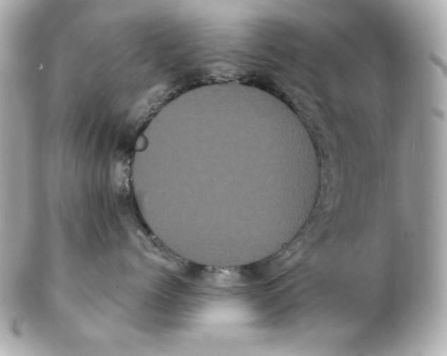 X0000102530768200808291820
