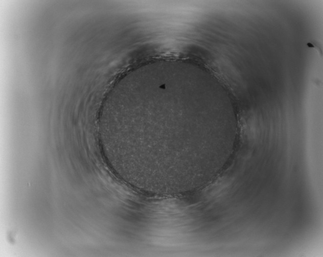 X0000102530769200808291819