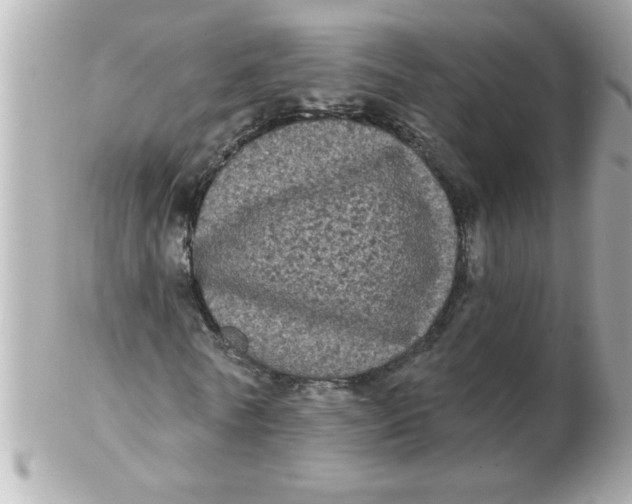 X0000102530770200808291819